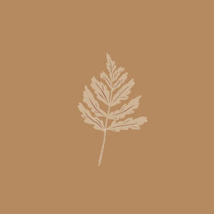 Meet your Posher, Geraldin